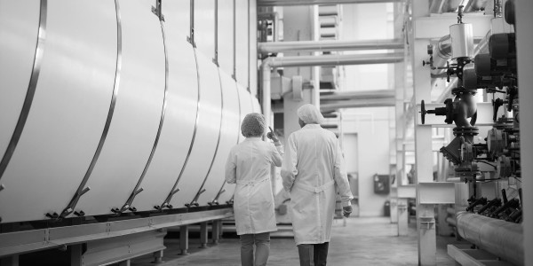 Peritajes Industriales Valldemossa · Informes Periciales de Ingeniería